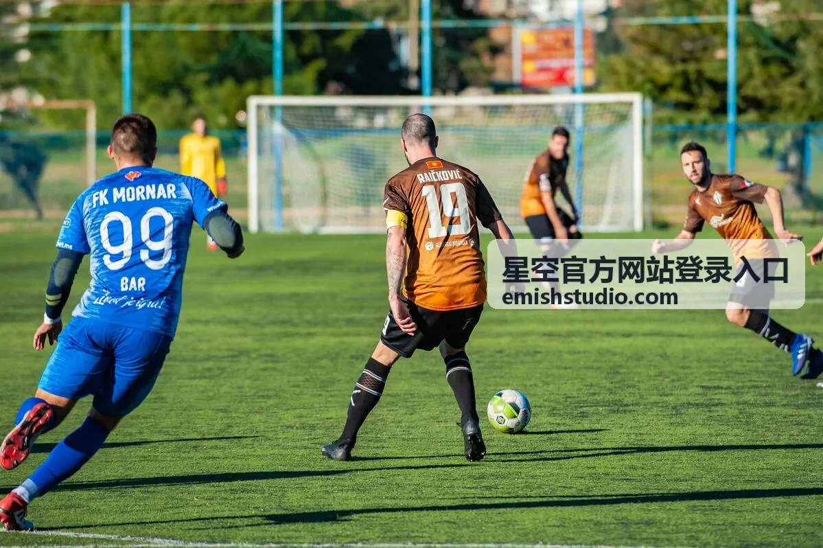 星空官方网站登录入口组织架构与角色权限管理