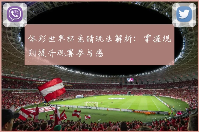 体彩世界杯竞猜玩法解析：掌握规则提升观赛参与感