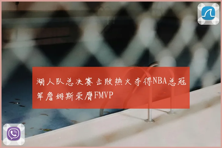 湖人队总决赛击败热火夺得NBA总冠军詹姆斯荣膺FMVP