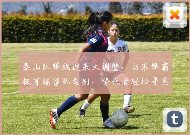 泰山队锋线迎来大调整，当家锋霸极可能留队告别，替代者轻松寻觅_续约_离开_外援