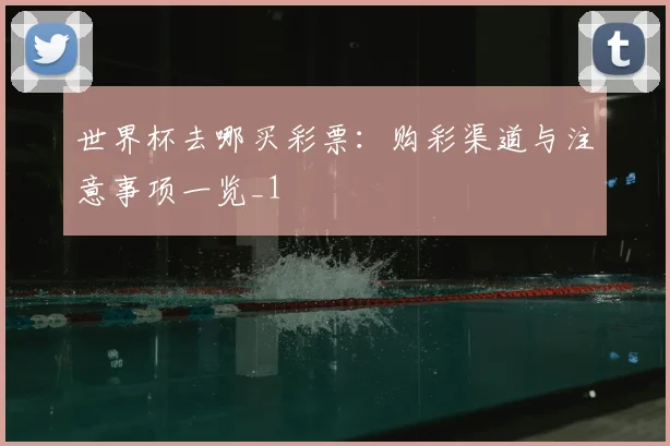 世界杯去哪买彩票：购彩渠道与注意事项一览_1