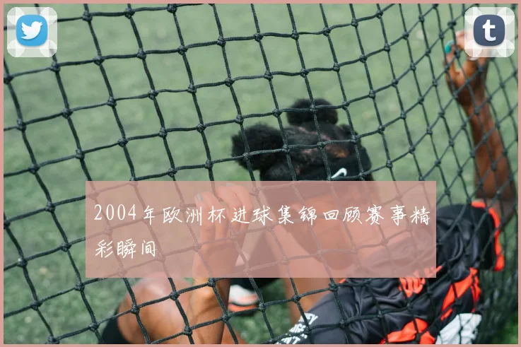2004年欧洲杯进球集锦回顾赛事精彩瞬间