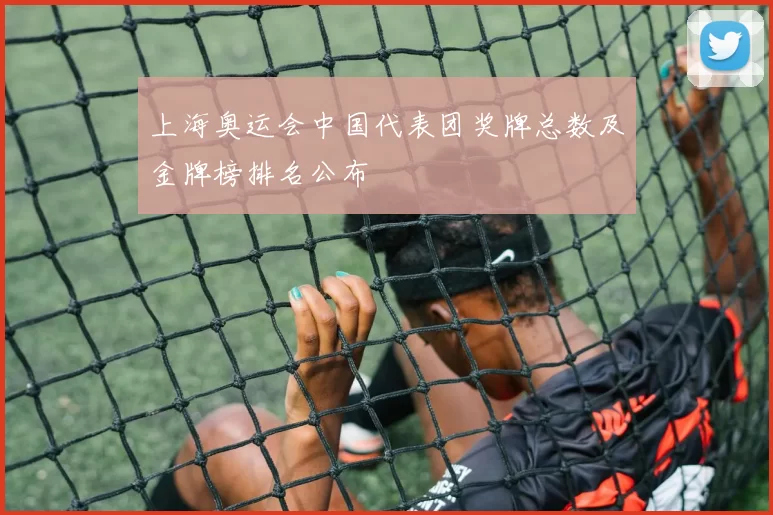 上海奥运会中国代表团奖牌总数及金牌榜排名公布
