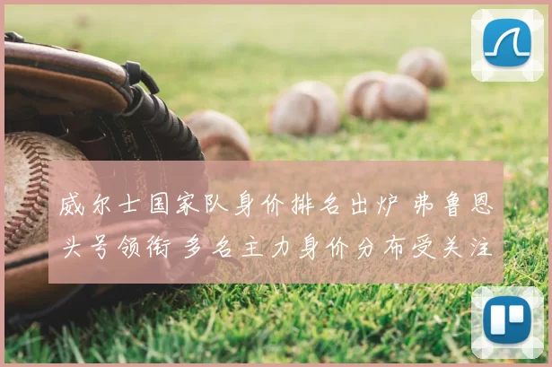 威尔士国家队身价排名出炉 弗鲁恩头号领衔 多名主力身价分布受关注