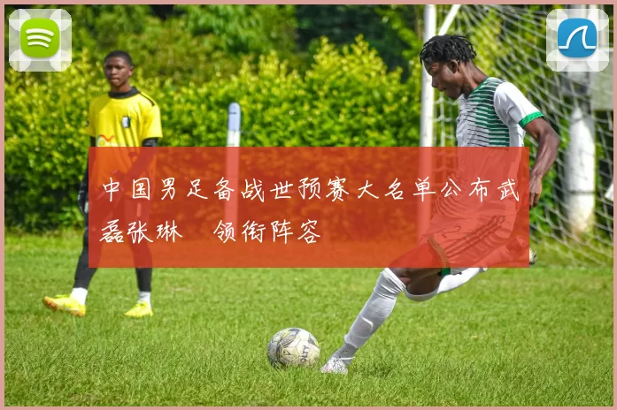 中国男足备战世预赛大名单公布武磊张琳芃领衔阵容