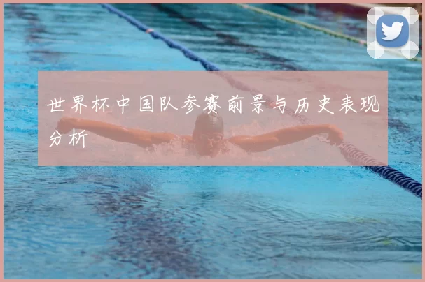 世界杯中国队参赛前景与历史表现分析