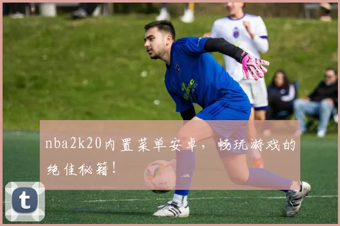 nba2k20内置菜单安卓，畅玩游戏的绝佳秘籍！